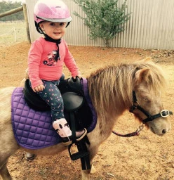 Lily on Bonnie at 16 months great for all ages