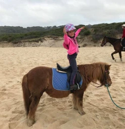Brandy (School Pony) at the Beach