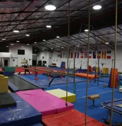 Grips Gymnastics Club Ringwood 1