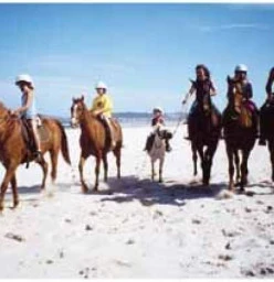 Beach rides