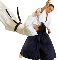 Mori Sensei