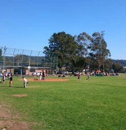 Try Baseball Day