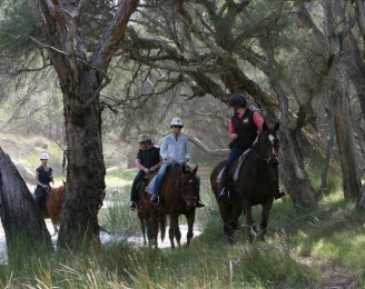 1800 Trail Rides
