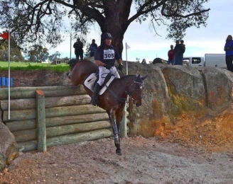 Ellison Park Riding School