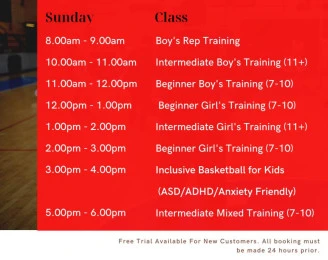 AP Basketball Academy