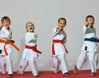 BKJ Martial Arts Centre - Roselands