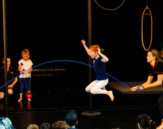 Flying Fruit Fly Circus