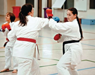 GKR Karate Engadine