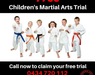 Phoenix Arts Martial Arts