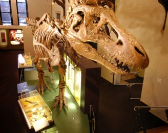 Australian Fossil and Mineral Museum