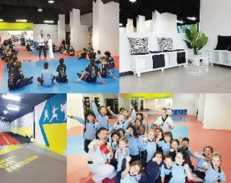 Lion's Taekwondo & Martial arts Academy