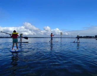Sunshine Coast Surf Schools