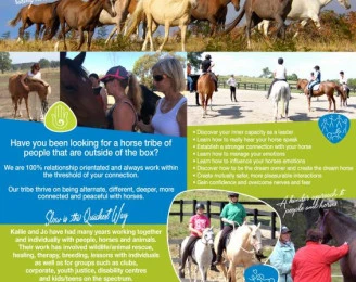 Holistic Equitation