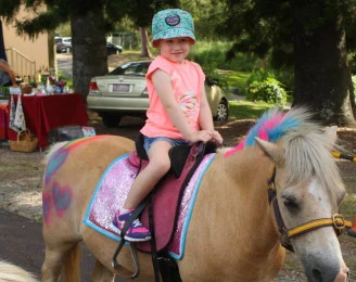 Ponies and Animals 2u