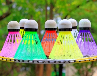 16 Feathers Badminton Pty Ltd