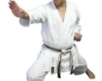 IKD-Karate-Australia (International Karate Daigaku association Australia Inc.)