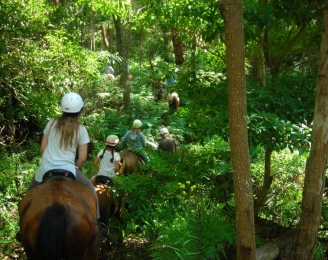 Wolumla Horse Riding Adventures