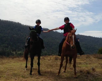 Nag Nanny & Equine Resolutions