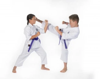 Kassis Karate Academy