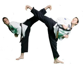 Giant Martial Arts