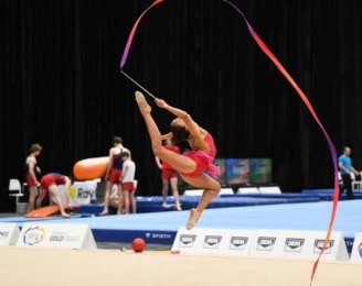 Le Ray Gymnastics PLC Sydney