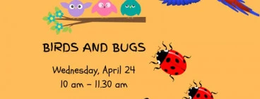 BIRDS AND BUGS SCHOOL HOLIDAY WORKSHOP Glenbrook Art Classes &amp; Lessons