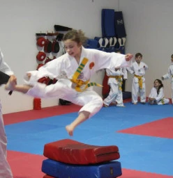 Term 2 at MTC - Diamond Valley Montmorency Taekwondo Classes &amp; Lessons