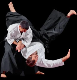 Aikido Martial Art FREE Trial North Ryde Fitness Coaches &amp; Instructors