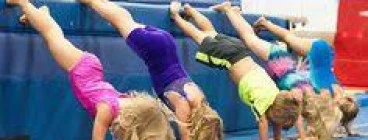 FREE PRE PRIMARY AND JUNIOR GIRLS GYMNASTICS CLASS Rivervale Gymnastics Clubs