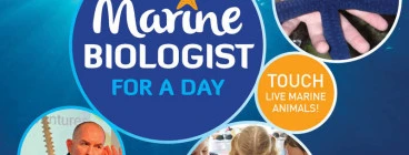 Marine Biologist for a Day Offer Brisbane CBD Science Classes &amp; Lessons