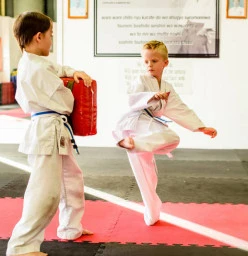 Free Trial Lesson Ashmore Karate Classes &amp; Lessons