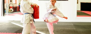 Free Trial Lesson Ashmore Karate Classes &amp; Lessons