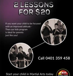 2 Lessons for $20 Kingswood Taekwondo Classes &amp; Lessons