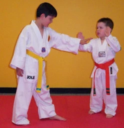 4 Weeks of Free Taekwondo Lessons Montmorency Taekwondo Classes &amp; Lessons