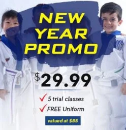 New Year Starter Pack Special Parramatta Taekwondo Classes &amp; Lessons
