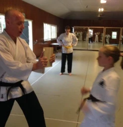 2 free lessons Bardon Karate Associations