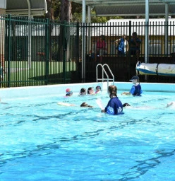 Bush School Learn to Swim Club 2017-18 Season Wahroonga Swimming Schools