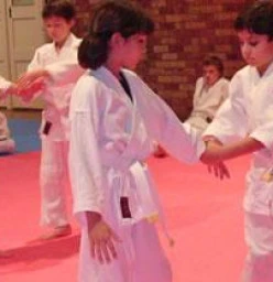 Children&#039;s Aikido Class Pymble Aikido  Classes &amp; Lessons