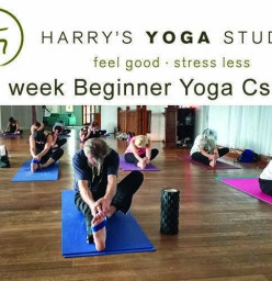 5 week beginner yoga course Maitland Yoga