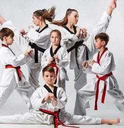 Term 1 2019 Blaxland Taekwondo Classes &amp; Lessons
