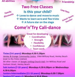 Free Come&#039;n&#039;Try Classes Henley Beach Calisthenics Classes &amp; Lessons