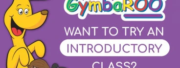 Introductory class to all new babies New Lambton Early Learning Classes &amp; Lessons