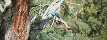 Rock Climb, Abseil and Zipline Experience Piccadilly Adventure