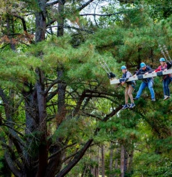 Rock Climb, Zipline and Mega Swing Experience Piccadilly Adventure