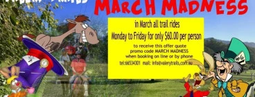 March madness Bellingen Horse Riding Schools