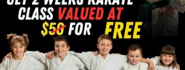 Limited time offer Auburn Karate Classes &amp; Lessons