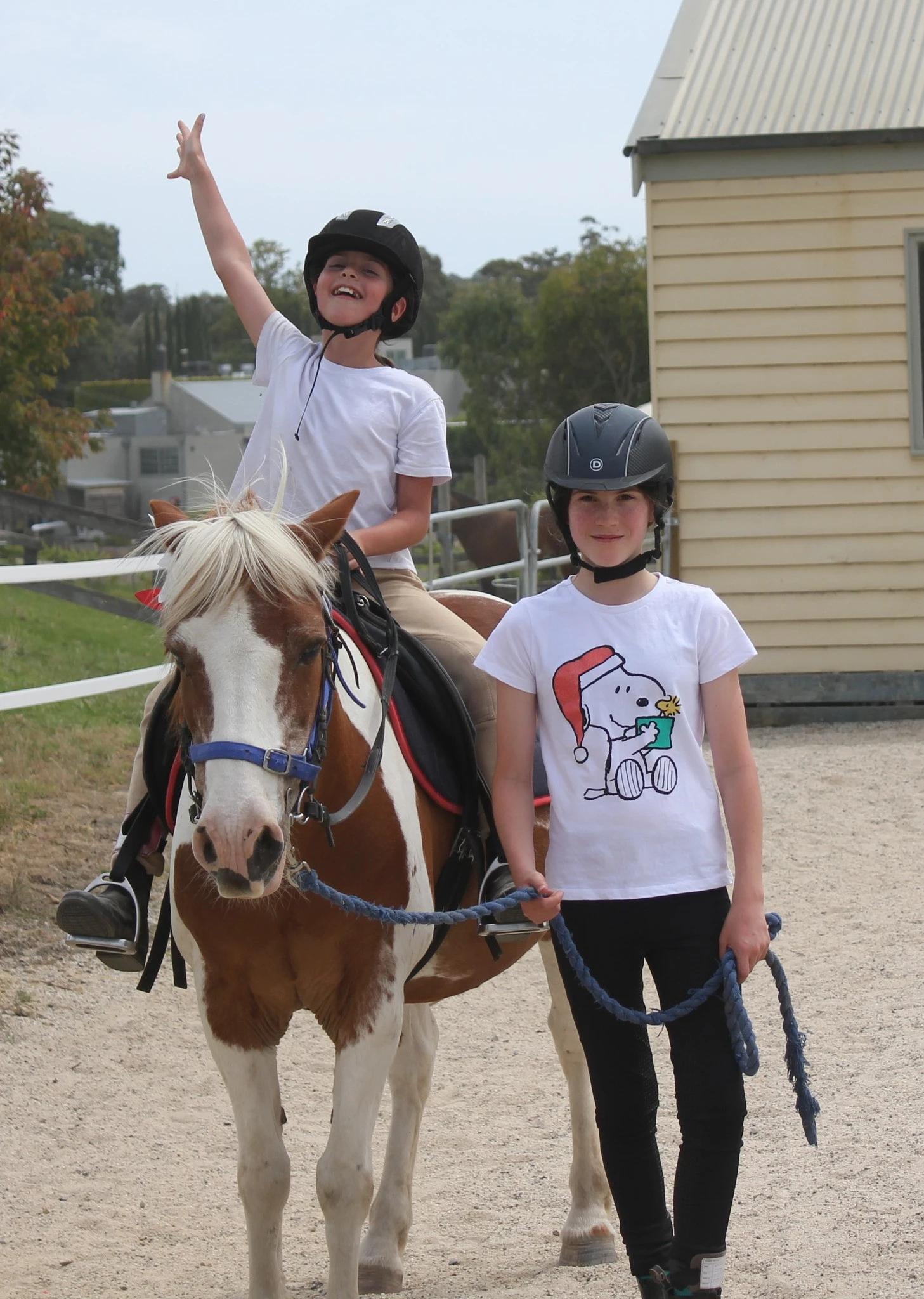 Tandivale Equestrian Centre & Pony Club