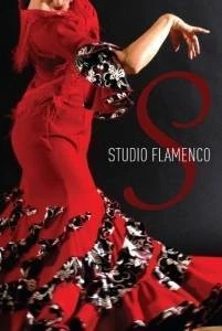 Flamenco-Studio Flamenco