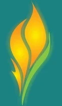 Flametree Yoga Online & Darwin Region