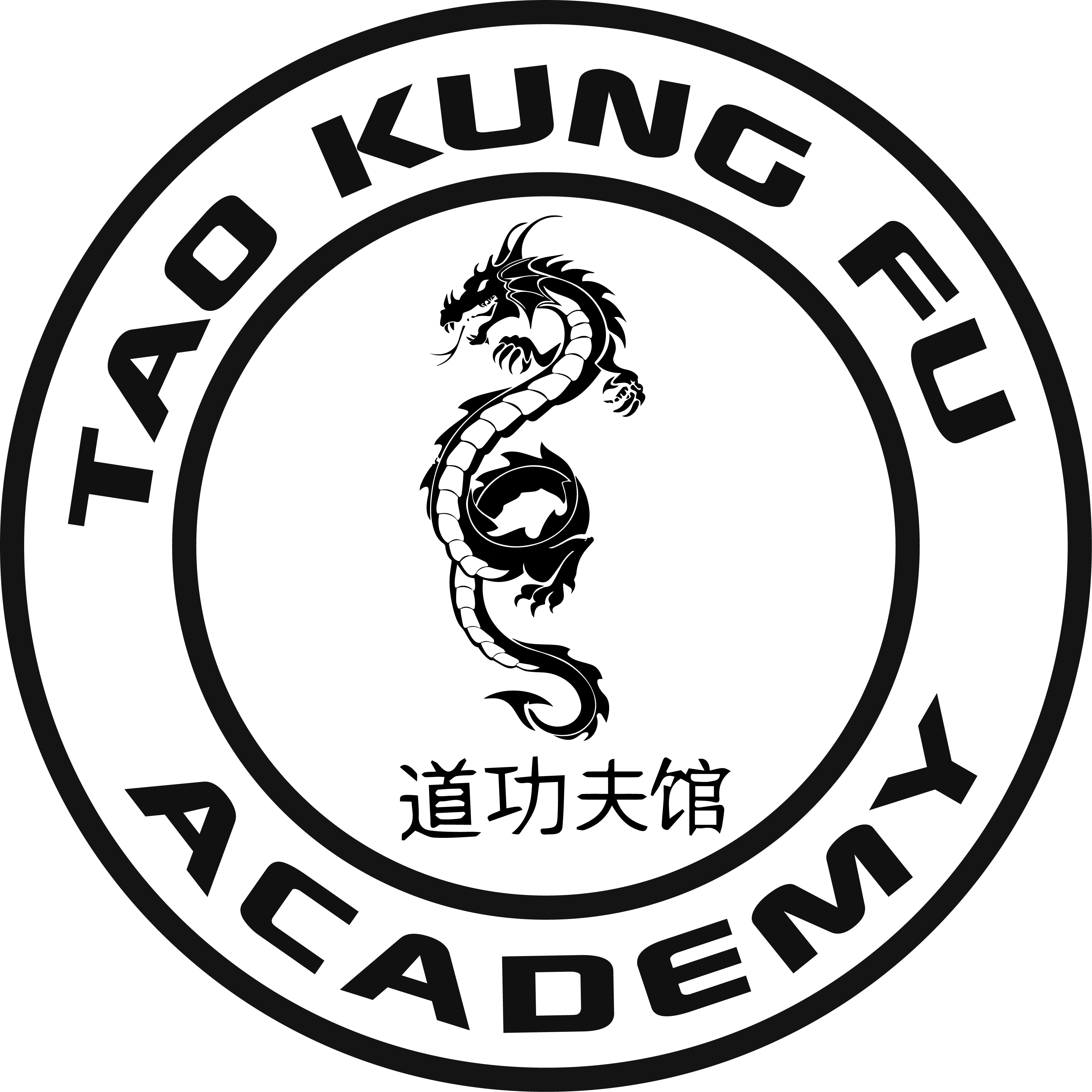 Tao KungFu Academy